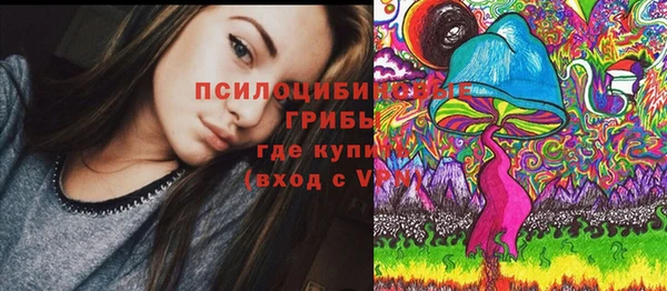 мдпв Арсеньев