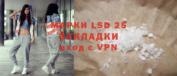 индика Балахна