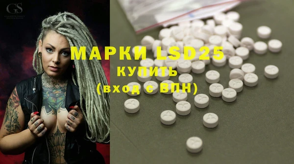 ALPHA PVP Аркадак