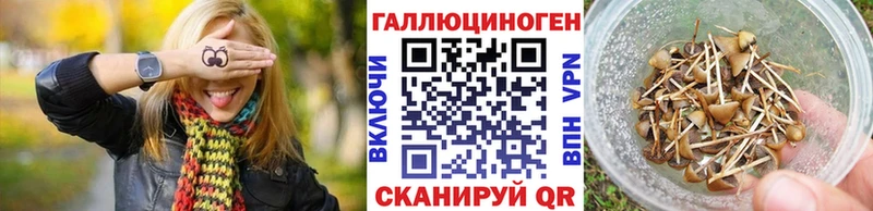 нарко площадка состав  Десногорск  Галлюциногенные грибы мицелий 